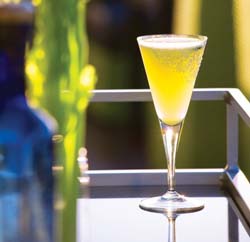 Serrano chili margarita